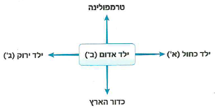 (בספר שלושה איורים, היעזר במנחה)